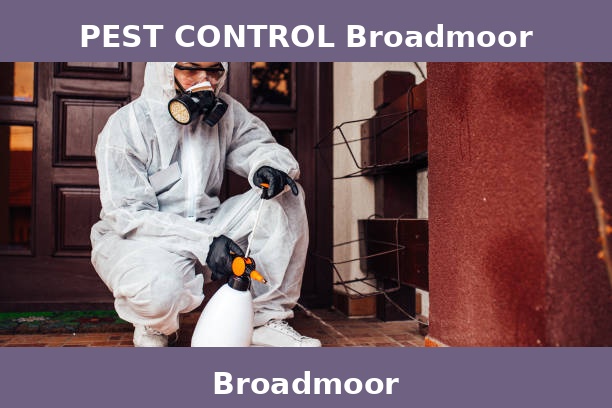 PEST CONTROL Broadmoor